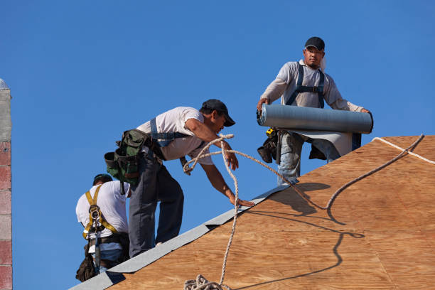 Best Roof Gutter Cleaning  in Hayti, PA